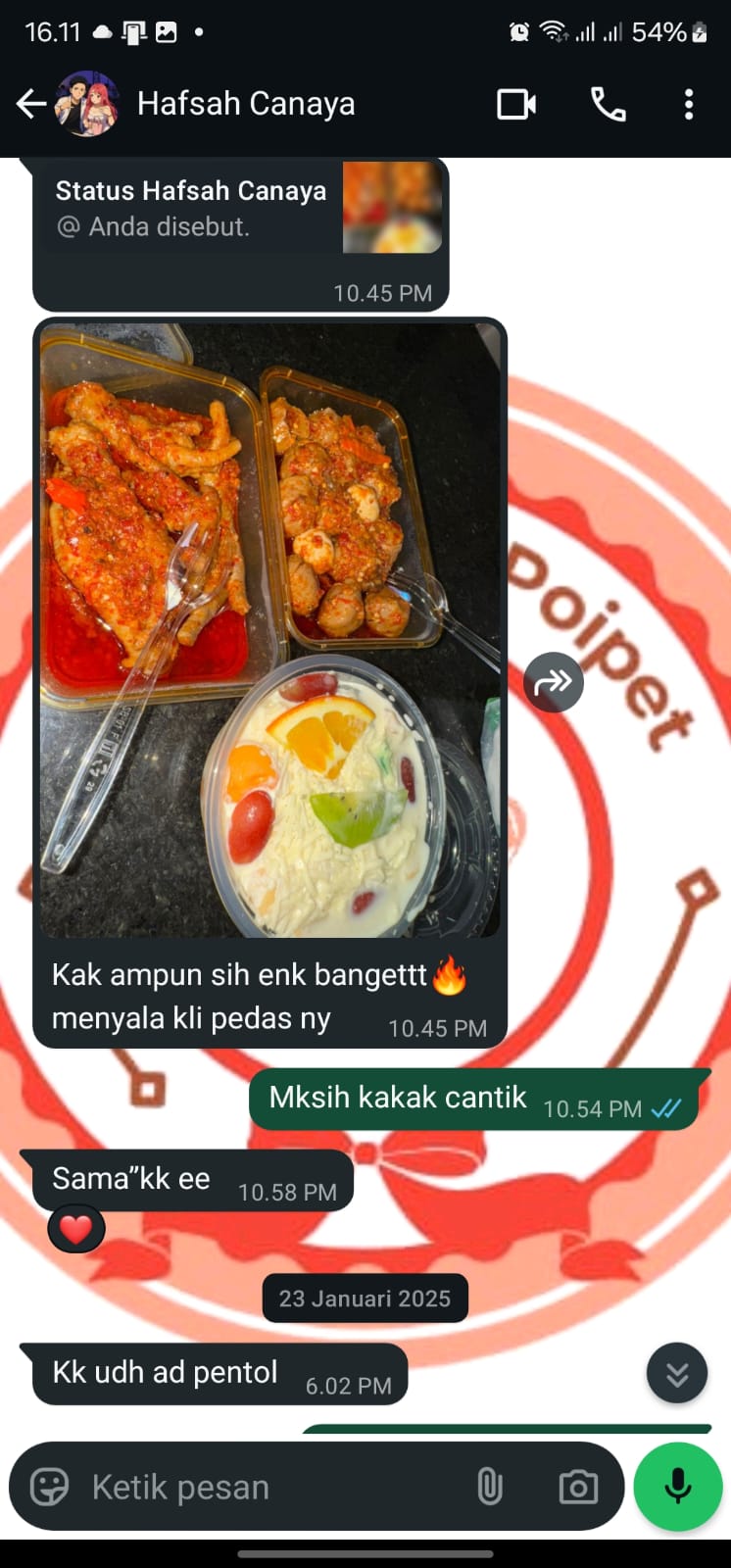 Chat conversation screenshot 3