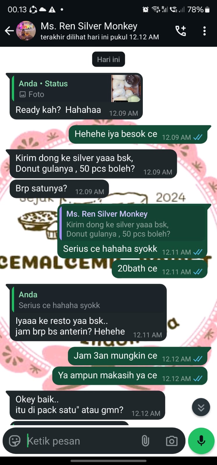Chat conversation screenshot 2